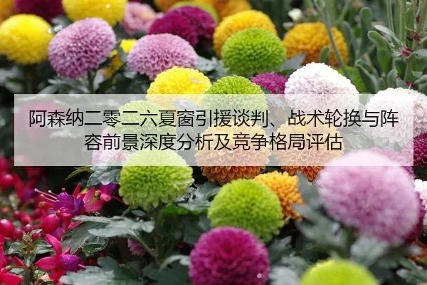 阿森纳二零二六夏窗引援谈判、战术轮换与阵容前景深度分析及竞争格局评估