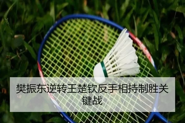 樊振东逆转王楚钦反手相持制胜关键战