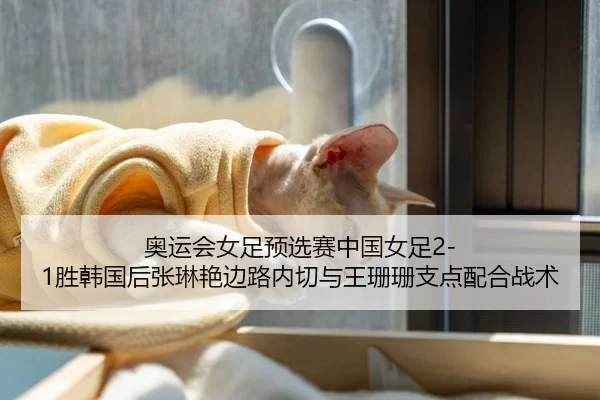 奥运会女足预选赛中国女足2-1胜韩国后张琳艳边路内切与王珊珊支点配合战术