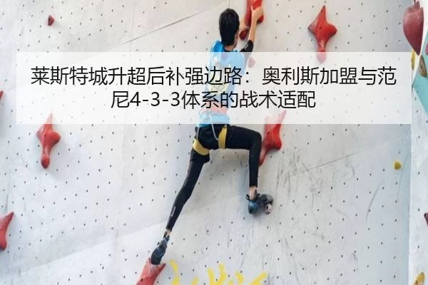莱斯特城升超后补强边路：奥利斯加盟与范尼4-3-3体系的战术适配